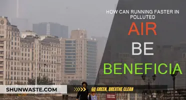 Running Fast in Polluted Air: Any Benefits?