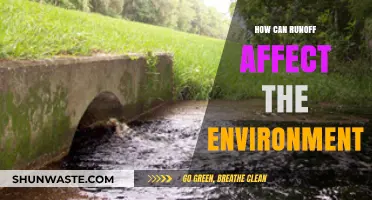 Runoff's Environmental Impact: Understanding Pollution, Erosion, and Ecosystem Disruption