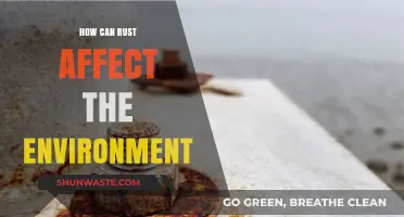 Rust's Environmental Impact: Corrosion's Hidden Threat to Ecosystems and Resources
