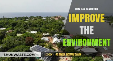 Sanitation Solutions: Transforming Environments Through Clean Water and Waste Management