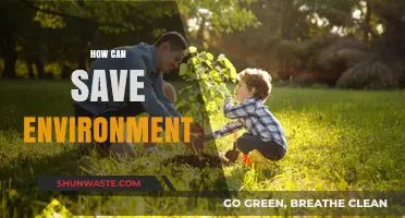 Sustainable Living: Simple Steps to Protect and Preserve Our Planet