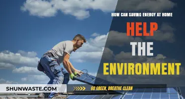 Eco-Friendly Living: How Home Energy Savings Protect Our Planet