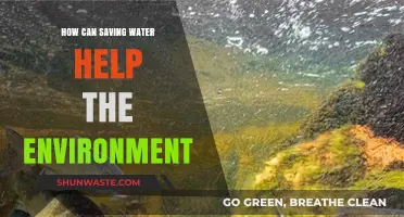 Conserve Water, Protect Ecosystems: The Environmental Benefits of Saving Water
