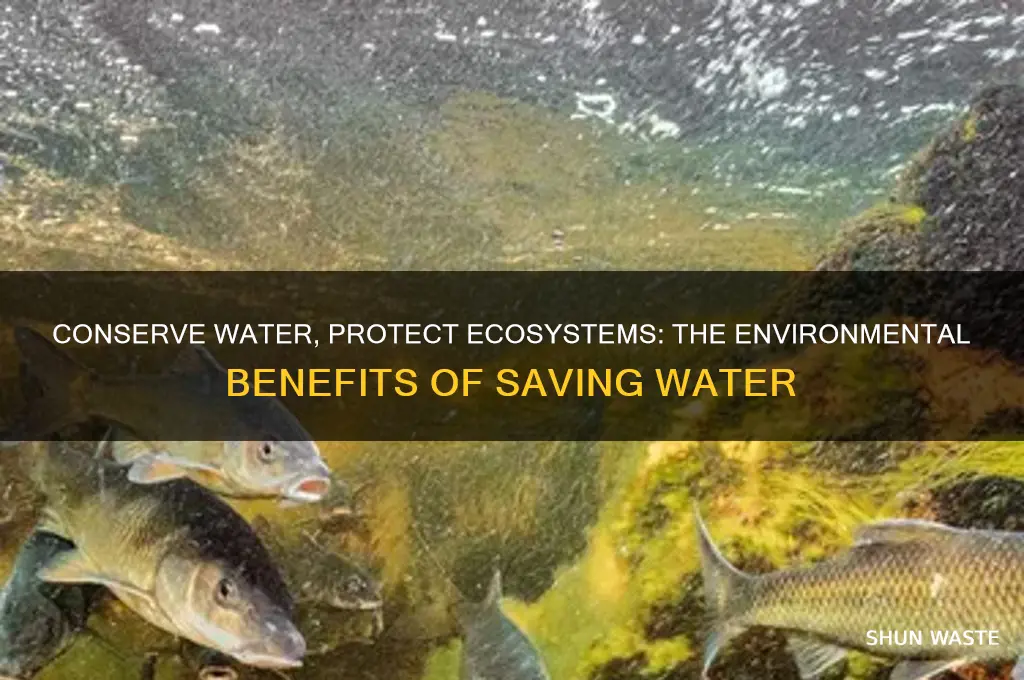 how can saving water help the environment