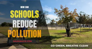 Schools' Role in Reducing Pollution: Strategies and Impact