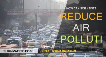 Scientists' Role in Reducing Air Pollution