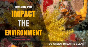 Sea Spray's Environmental Impact: Exploring Its Effects on Ecosystems and Climate