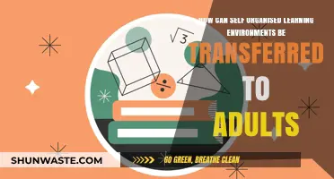 Empowering Adult Learners: Transferring Self-Organised Learning Environments for Success