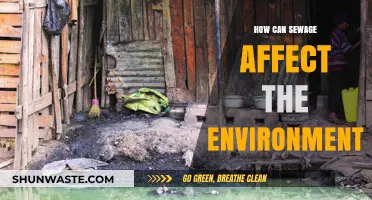 Sewage's Environmental Impact: Pollution, Ecosystems, and Public Health Risks