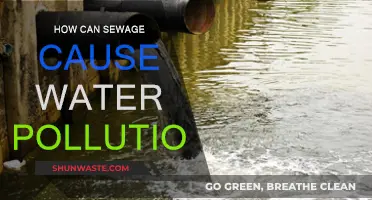 Sewage's Impact: Understanding Water Pollution's Hidden Threat