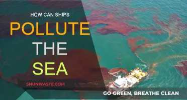 Ships' Impact: Polluting the Sea and Destroying Marine Life