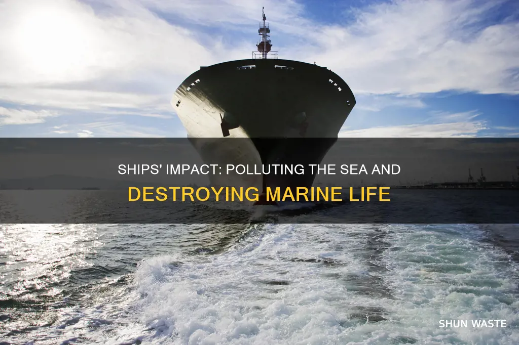 how can ships pollute the sea