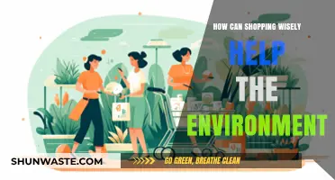 Sustainable Shopping: How Wise Choices Protect Our Planet and Environment