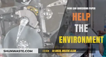 Shredding Paper: A Simple Eco-Friendly Practice for Environmental Conservation