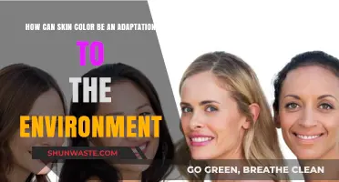 Skin Color Adaptation: How Environment Shapes Our Complexion