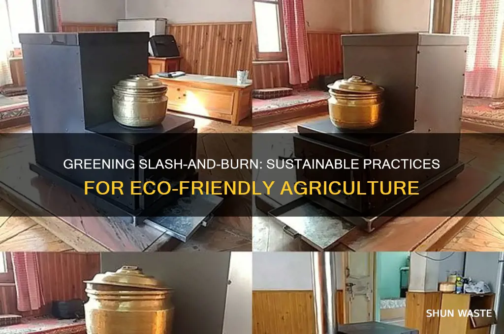 how can slash and burn agriculture become environment friendly
