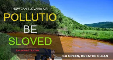 Solving Slovakia's Air Pollution Crisis