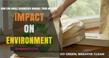 Sustainable Strategies: How Small Businesses Can Reduce Environmental Footprint