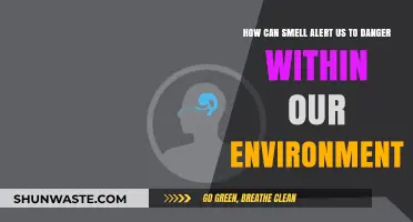 Detecting Danger: How Our Sense of Smell Warns Us of Environmental Threats