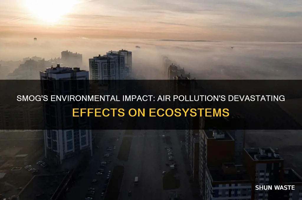 how can smog affect the environment