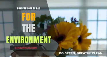 The Hidden Environmental Impact of Soap: What You Need to Know