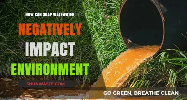 Soap Wastewater's Hidden Environmental Toll: Pollution, Ecosystems, and Solutions