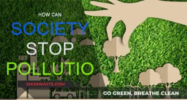 Society's Role in Preventing Pollution: Collective Action Needed