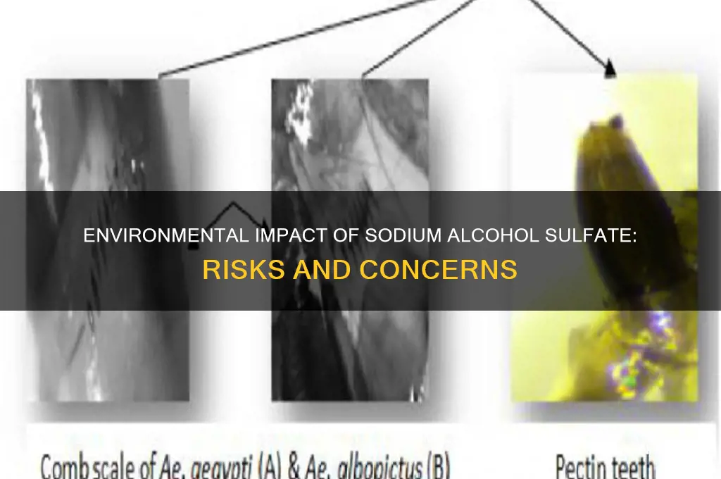 how can sodium alcohol sulfate affect the environment