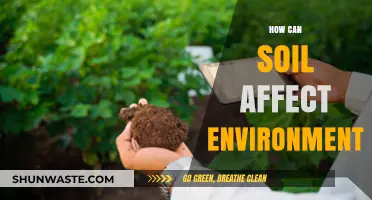 Soil's Impact: Uncovering Its Role in Shaping Our Environment
