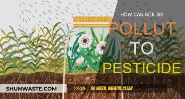 Soil Pollution: Pesticides' Impact and Dangers