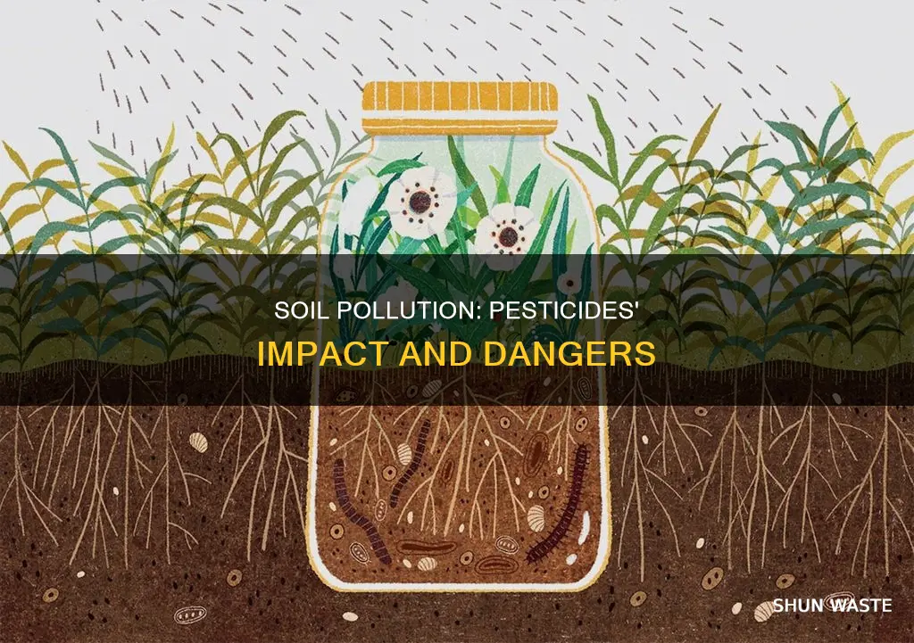 how can soil be polluted to pesticides