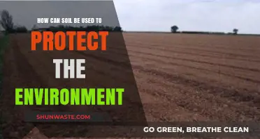 Harnessing Soil's Power: Eco-Friendly Strategies for Environmental Protection