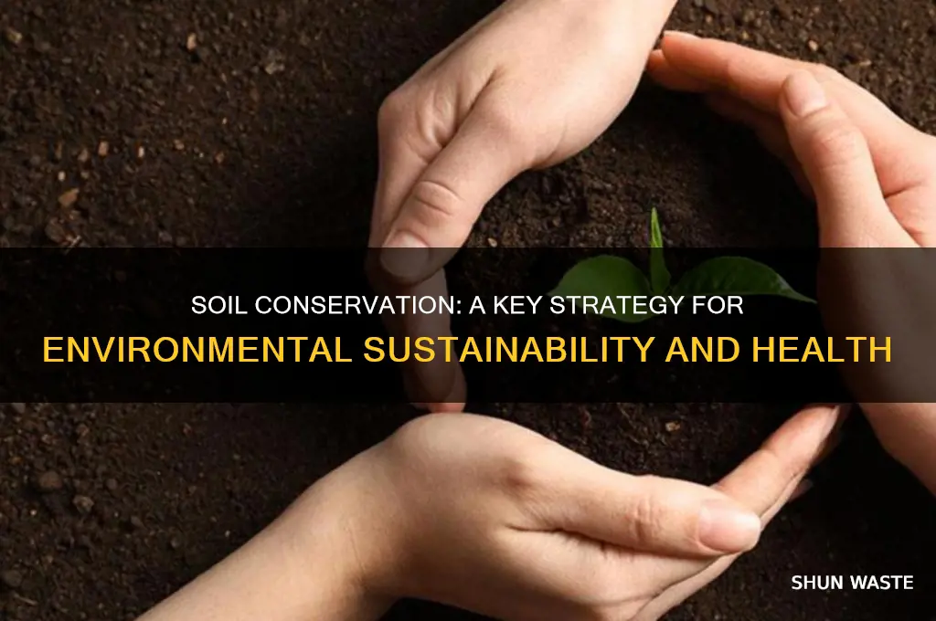 how can soil conservation help the environment