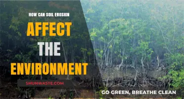 Soil Erosion's Impact: Environmental Consequences and Sustainable Solutions
