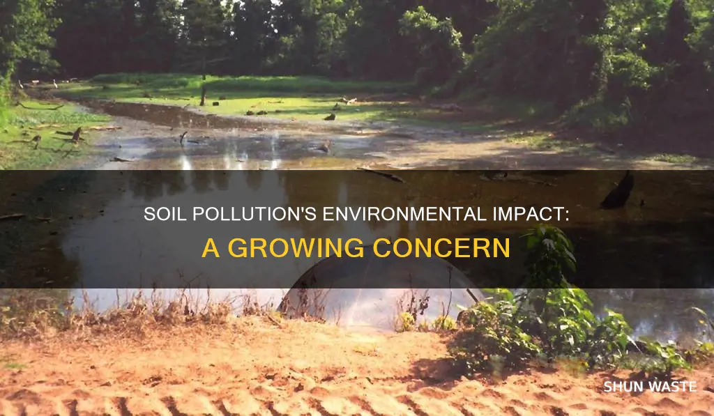 how can soil pollution affect the environment