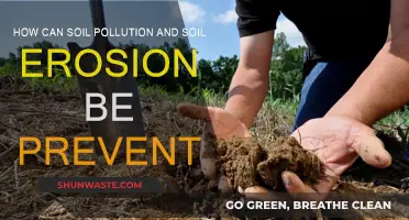 Preventing Soil Pollution and Erosion: Strategies for Sustainability