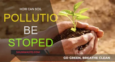 Soil Pollution: Preventing the Contamination Crisis