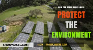 Solar Panels: A Sustainable Solution to Protect Our Environment