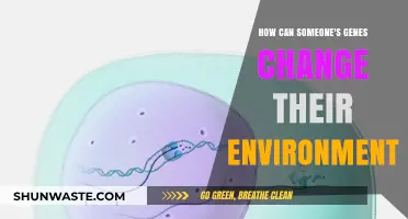 Genetic Influence: How DNA Shapes and Adapts Our Surroundings