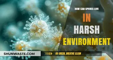 Surviving Extremes: How Spores Thrive in Harsh Environments