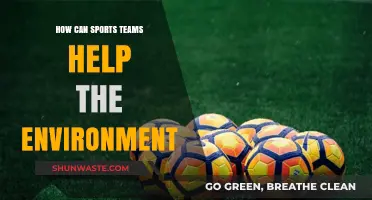 Green Goals: How Sports Teams Can Champion Environmental Sustainability