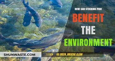 Stocking Fish: A Sustainable Solution for Environmental Restoration and Balance