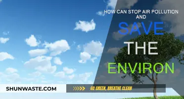 Air Pollution: Saving Our Planet, Saving Ourselves