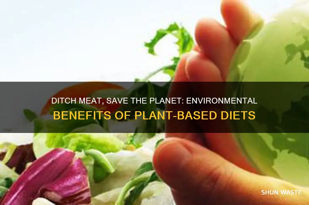 how can stop eating meat help the environment