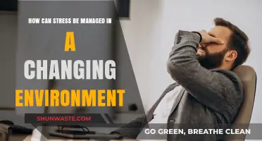 Navigating Change: Effective Strategies to Manage Stress in Dynamic Environments
