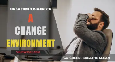 Navigating Change: Effective Strategies for Managing Stress in Dynamic Environments