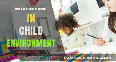 Creating Calm: Strategies to Reduce Stress in Children's Environments