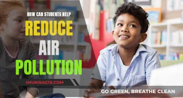 Students' Role in Reducing Air Pollution