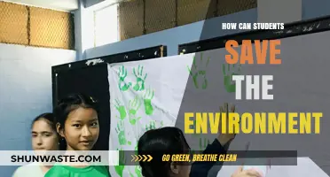Eco-Friendly Habits: Empowering Students to Protect Our Planet
