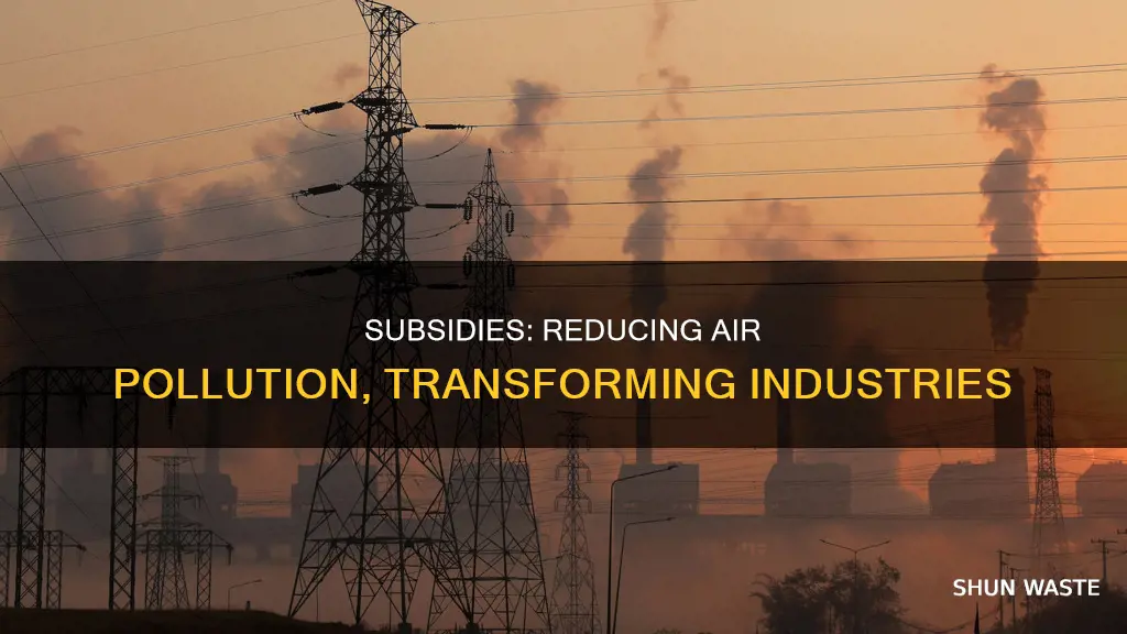 how can subsidies given to an industry reduce air pollution